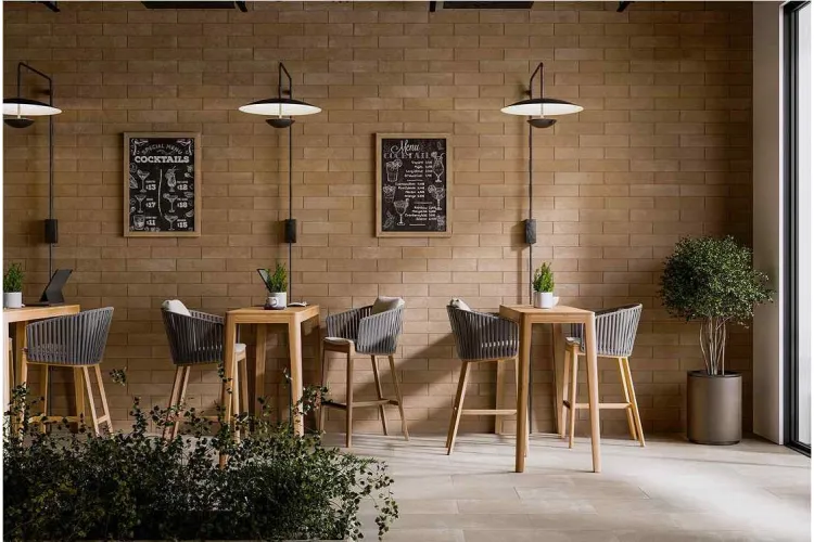 ARGILLA MOCCA 7.4х30 (фасад) зображення 2