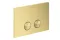 Панель змиву AXOR FlushPlate iFrame, Brushed Brass (42531950)