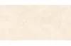 RAPOLANO NATURAL MATT 60х120 (плитка для підлоги і стін) image 1