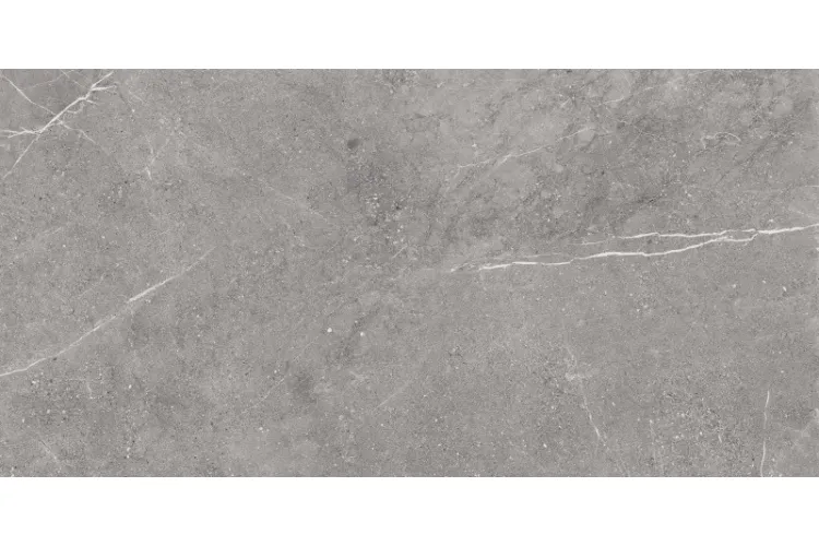 VIPER GRAPHITE 59.7х119.7 (плитка для підлоги і стін) зображення 1