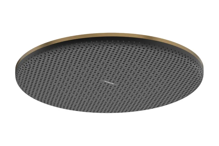 Верхній душ Raindance Alive S 300 1jet EcoSmart Brushed Bronze (24521140) зображення 1