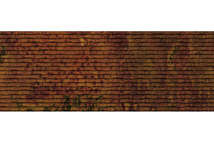 CORTEN OXIDUM SWELL 45x120 (44.63x119.30) (плитка настінна) зображення 1
