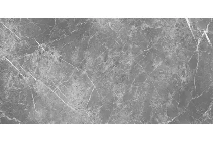 ELEMENTS LUX PERSIAN GREY SILKY RET 60х120 (ECC2) (плитка для підлоги і стін)