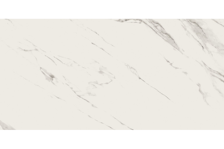 CALACATTA MISTARI WHITE SATIN RECT 59.8х119.8 (плитка для підлоги і стін) image 1