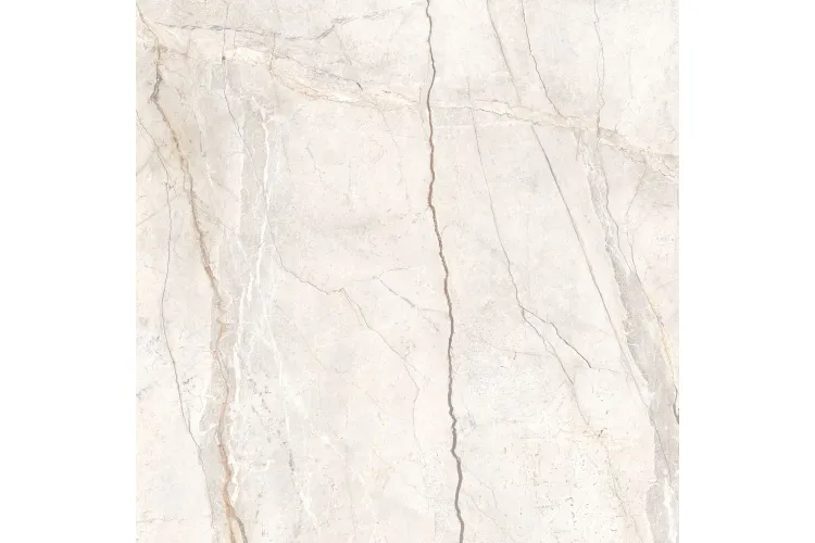 MPFL MYSTONE SILVER ROOT WHITE NAT RET 120х120 (плитка для підлоги і стін) image 1