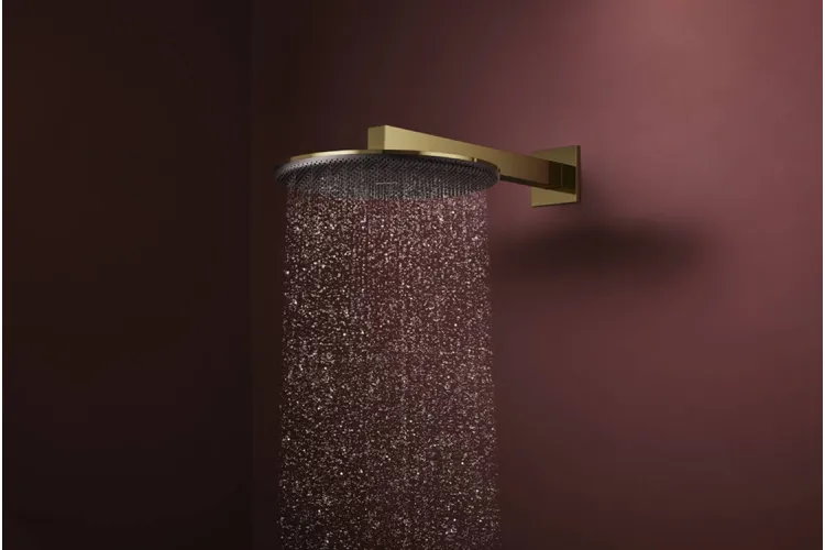 Верхній душ Raindance Alive S 300 2jet EcoSmart з тримачем Polished Gold Optic (24541990) зображення 2