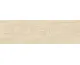 TORNWOOD BEIGE 18.5х59.8 (плитка для підлоги і стін)
