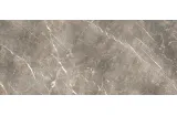 ELEMENTS LUX PERSIAN GREY SILKY RT 120х278 (ECN2) (плитка для підлоги і стін)