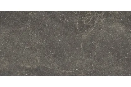 ALISTONE BLACK MATT RECT 59.8х119.8 (плитка для підлоги і стін) 