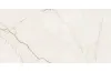 ARCADIA STONE WHITE MATT RECT 59.8х119.8 (плитка для підлоги і стін) зображення 1
