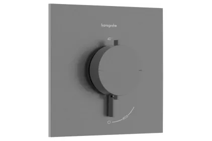 Термостат прихованого монтажу Ecostat Comfort E на 1 функцію, Brushed Black Chrome (33710340)