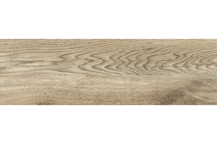 RUSTIC WOOD темно-бежевий 20х65 (плитка для підлоги і стін) image 1