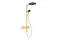 Душова система Raindance Alive S 300 2jet EcoSmart з ShowerSelect Comfort Polished Gold Optic (24596990)