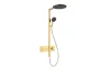 Душова система Raindance Alive S 300 2jet EcoSmart з ShowerSelect Comfort Polished Gold Optic (24596990) зображення 1