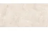 RAPOLANO SILVER MATT 60х120 (плитка для підлоги і стін) зображення 1