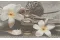 OLIVIA DECOR GREY SPA 2  25х40 декор (плитка настінна)