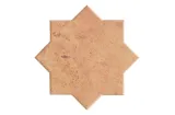 ARGILE STAR TIERRA 18,5x18,5 (плитка для підлоги і стін)