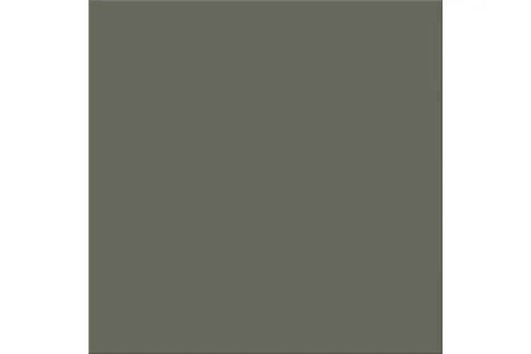 CROMA SPRUCE 20х20 (плитка для підлоги і стін) зображення 1