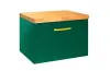 Тумба під умивал.без стільниці FLOO 60 L 60x50x40 +сифон, зол. ручка, візерунок зліва, зелена зображення 1