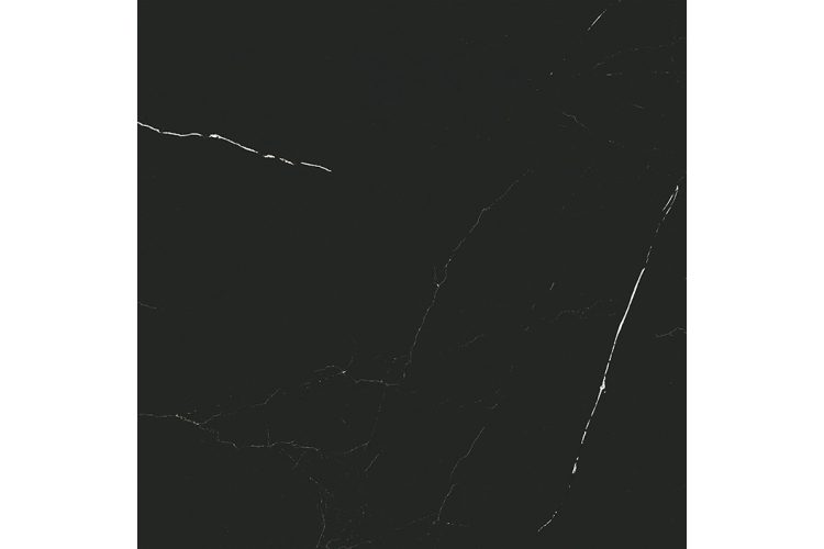 G354 LIEM BLACK 59.6х59.6 (плитка для підлоги і стін) image 1