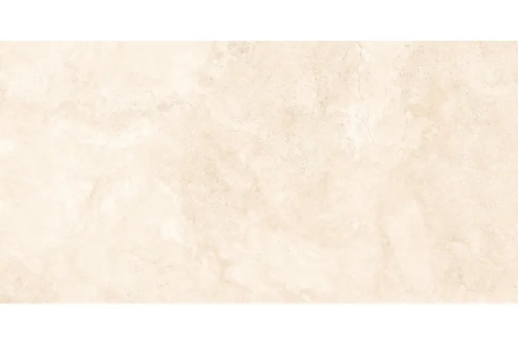 RAPOLANO NATURAL MATT 60х120 (плитка для підлоги і стін) image 2