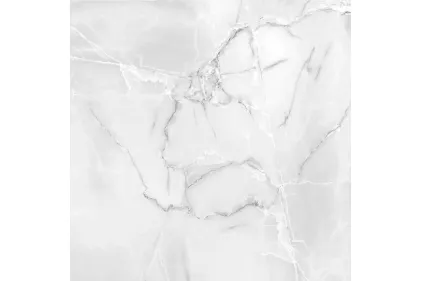 DELICATO світло-сірий 60х60 глянц DEG590 (плитка для підлоги і стін)