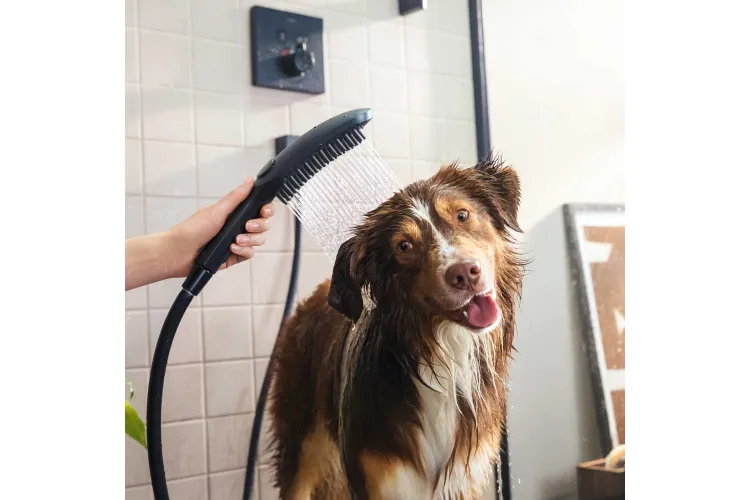 Ручний душ DogShower 150 3Jet Matt Black (26640670) image 2