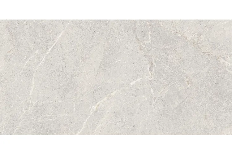 DOLOMIA LIGHT GREY MATT 59.8х119.8 (плитка для підлоги і стін) image 1