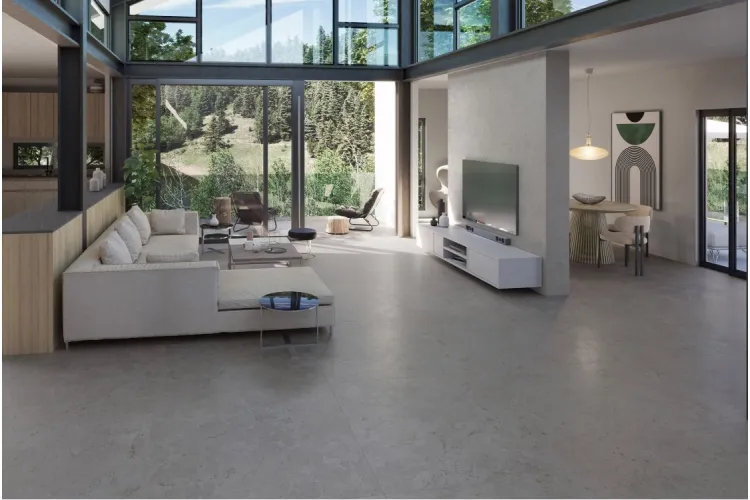 CAMPER GREY 120x120 (плитка для підлоги і стін) зображення 2