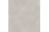GPTU603 LIGHT GREY 59.8х59.8 SILVER PEAK (плитка для підлоги і стін) зображення 1