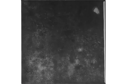 EARTH EBONY GLOSS 15х15 (плитка настінна)