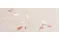 YLICO PETALS RT 50х120 декор (плитка настінна) fQWF