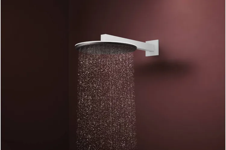 Верхній душ Raindance Alive S 300 2jet з тримачем Matt White (24540700) зображення 2