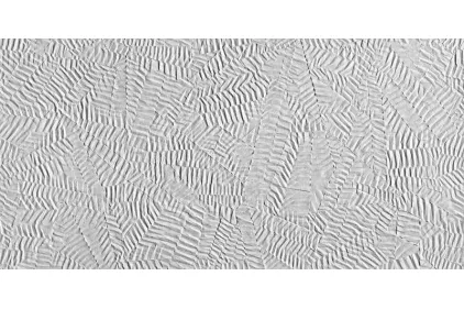 BLOOM BEIGE RT 80х160 fOXC (плитка настінна) 