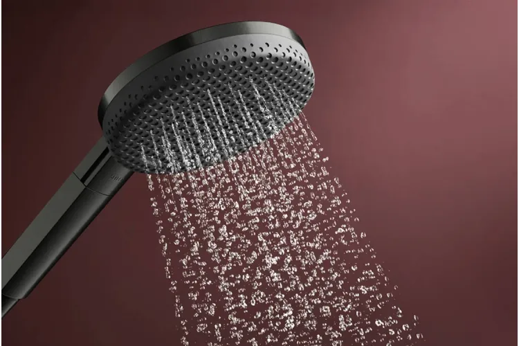 Ручний душ Raindance Alive Select S 3jet  Brushed Black Chrome  (24500340) зображення 5