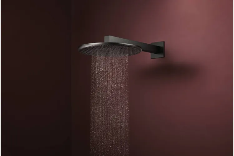 Верхній душ Raindance Alive S 300 2jet з тримачем Brushed Black Chrome (24540340) зображення 3