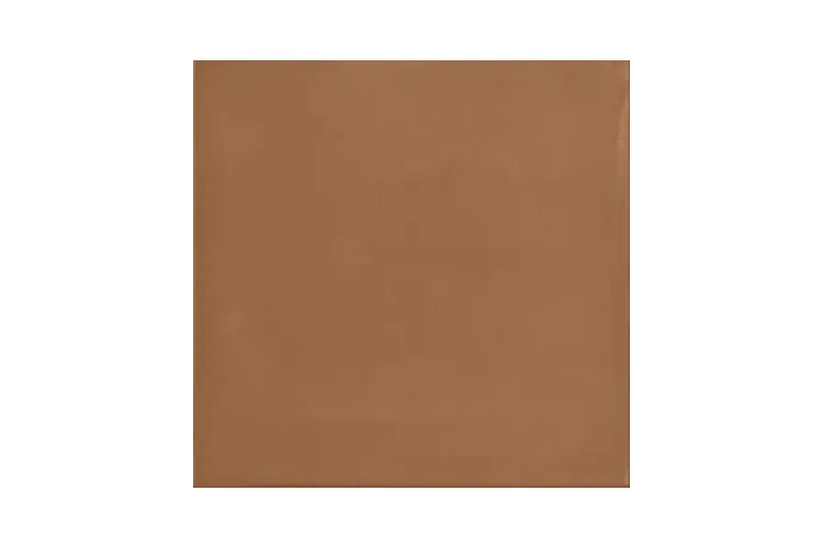 M600 D_SEGNI BLEND TERRA 20x20 (плитка для підлоги і стін) зображення 1