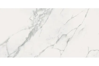 CALACATTA MARBLE WHITE 59.8х119.8 (плитка для підлоги і стін) 