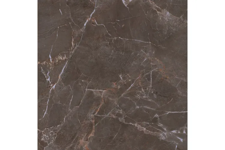 PROUD CHAMPAGNE NATURALE REKT STR MAT 119.8х119.8 (плитка для підлоги і стін) зображення 1