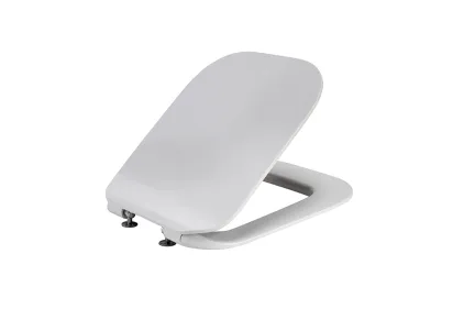 ESSENCE-C Сидіння для унітазу з функцією Soft-Close біле матове (100180520)