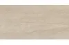 SERENA VEINCUT MOKA 120x280 (плитка настінна) зображення 1