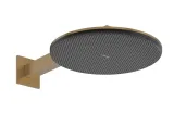 Верхній душ Raindance Alive S 300 2jet з тримачем Brushed Bronze (24540140)