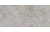 G2704 FIORI DI BOSCO POLISHED 02 120x270 (плитка настінна)