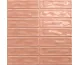 STICKS CORAL 20x20 см (2,5х10) (плитка настінна)