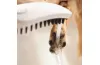 Ручний душ DogShower 150 3Jet Matt White (26640700) image 4