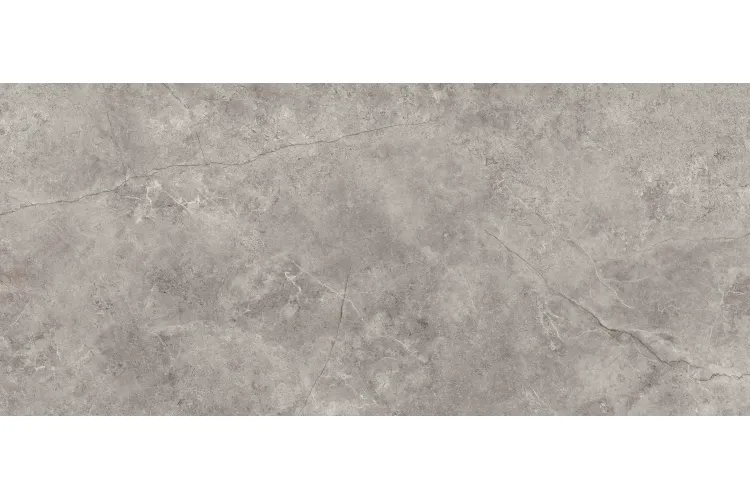 G2504 FIORI DI BOSCO POLISHED 120x270 (плитка настінна) зображення 1