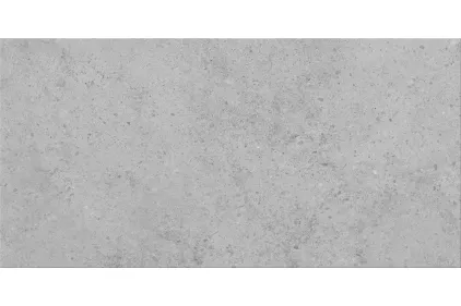 HIGHBROOK LIGHT GREY 29.8х59.8 (плитка для підлоги і стін)