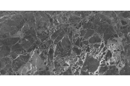 ELEMENTS LUX EMPERADOR LAPPATO RET 60х120 (2A24) (плитка для підлоги і стін)