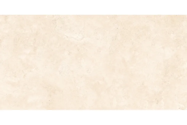RAPOLANO NATURAL MATT 60х120 (плитка для підлоги і стін) image 4