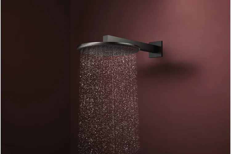 Верхній душ Raindance Alive S 300 2jet EcoSmart з тримачем Brushed Black Chrome (24541340) зображення 2